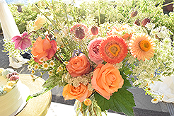 LOVE IN BLOOM AT WOODMARK HOTEL